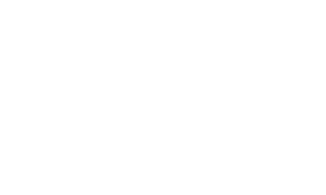 Home » Liberty Forged